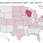 ARUP Laboratories Launches Infectious Disease Trend Dashboard