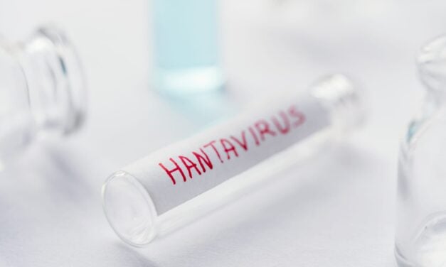 Andes Virus Shifts Hantavirus Conversation for US Labs