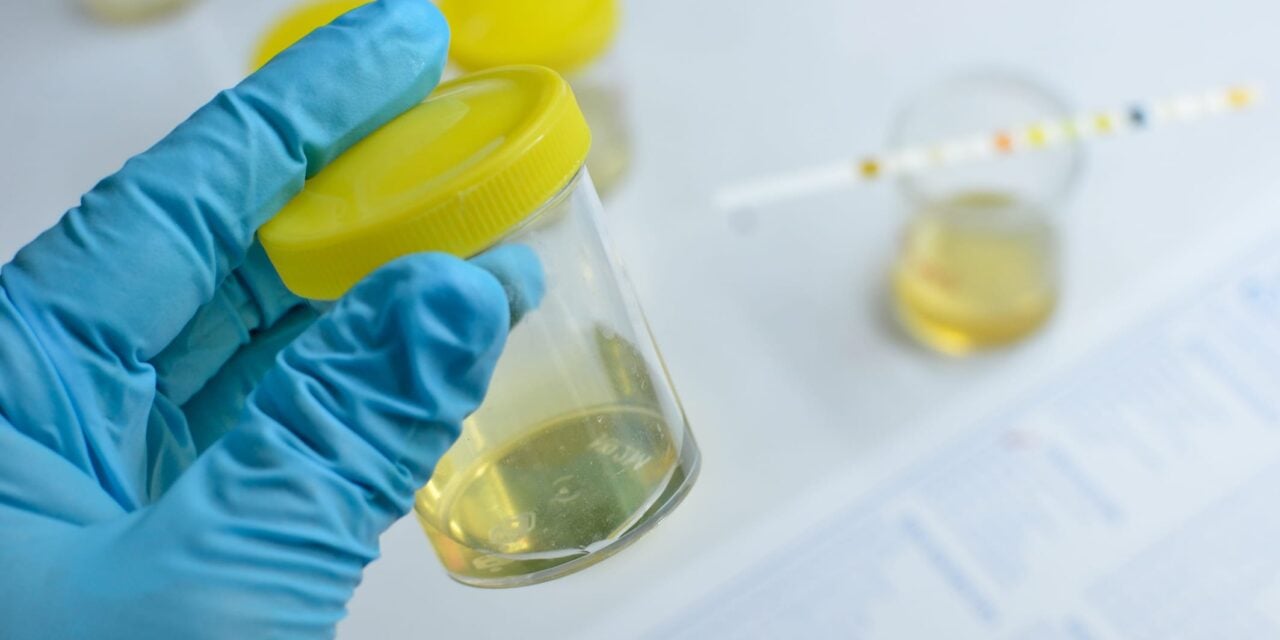 Biotia Launches Antimicrobial Resistance Test for Complicated UTIs