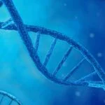 Foundation Medicine Launches MRD Test Combining Structural Variants and Digital PCR