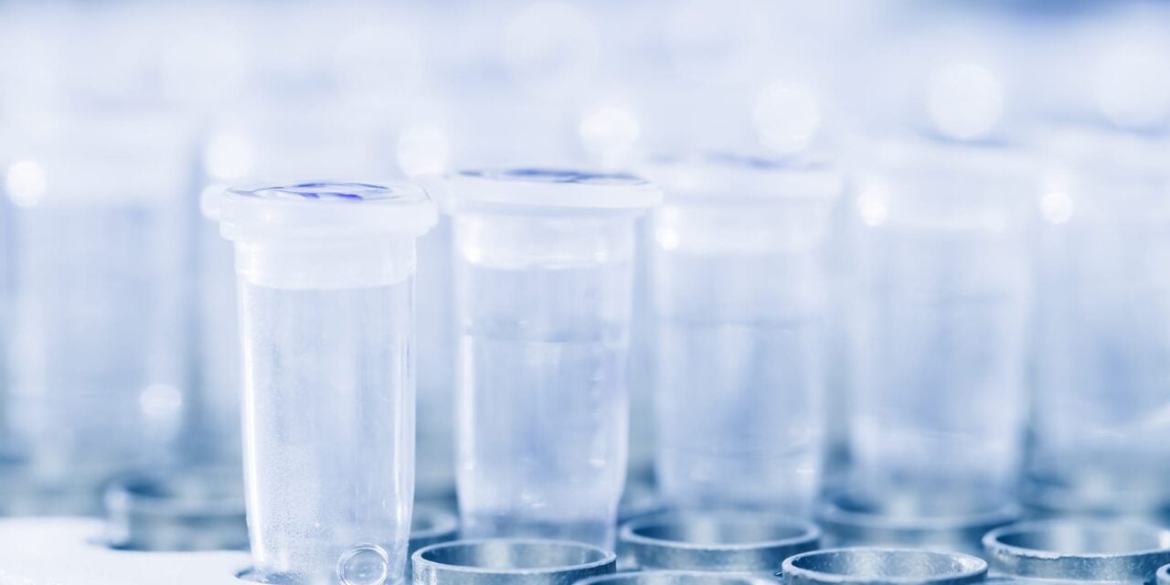 bioMérieux Seeks FDA Authorization for Point-of-Care Vaginitis Test