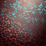 bioMérieux Seeks FDA Clearance for Updated Gastrointestinal Testing Panels