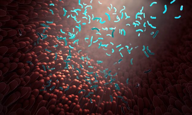 bioMérieux Seeks FDA Clearance for Updated Gastrointestinal Testing Panels