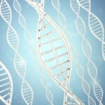 Researchers Develop Electronic Genome Mapping Assay for FSHD Diagnosis