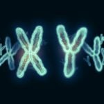 Myriad Genetics Launches New Four-in-One Prenatal Genetic Screen
