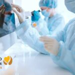 Stanford Blood Center Launches Infectious Disease Testing for Organ and Tissue Donors