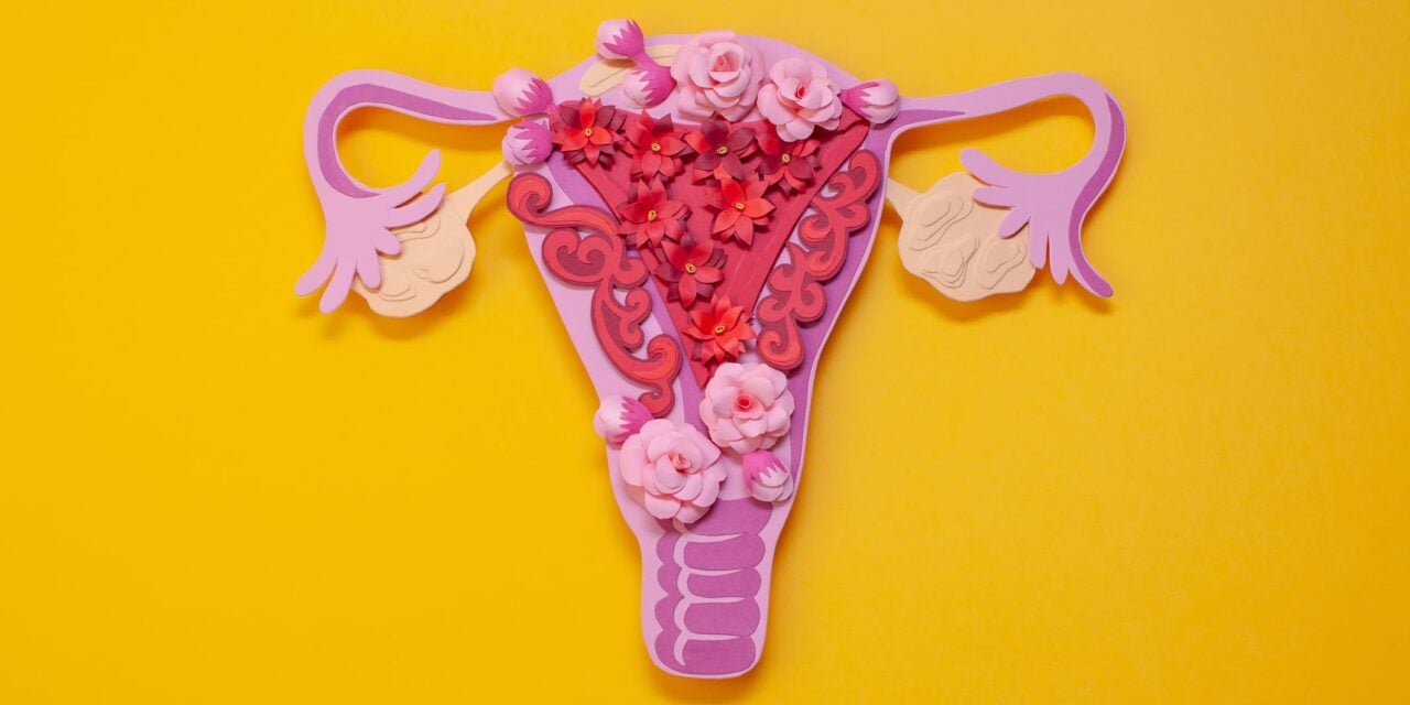 Real-World Study Supports Multi-Omic Blood Test for Endometriosis