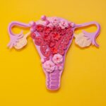 Real-World Study Supports Multi-Omic Blood Test for Endometriosis