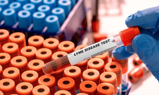 Improved Lyme Disease Tests Could Reduce US Healthcare Costs by 41%