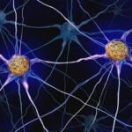 Spear Bio to Release New Alzheimer’s Disease Tests and Automated Instrument Platform