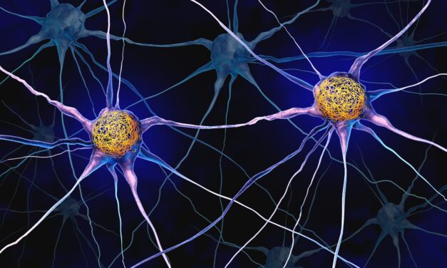 Spear Bio to Release New Alzheimer’s Disease Tests and Automated Instrument Platform