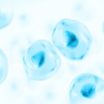 Amsbio Introduces Synthetic Cell Mimics for Flow Cytometry