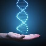 Genetic Risk Score Identifies Hidden Type 1 Diabetes in MODY Referrals
