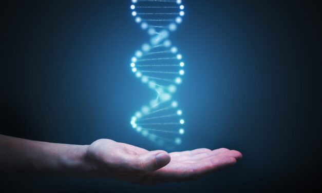 Genetic Risk Score Identifies Hidden Type 1 Diabetes in MODY Referrals