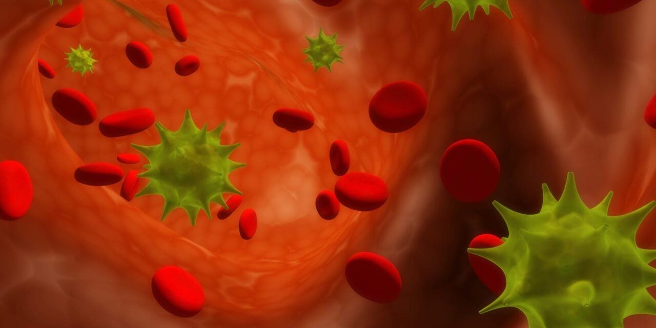 FDA Clears QIAGEN Bloodstream Infection Panel