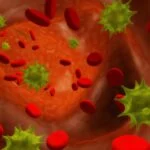 FDA Clears QIAGEN Bloodstream Infection Panel