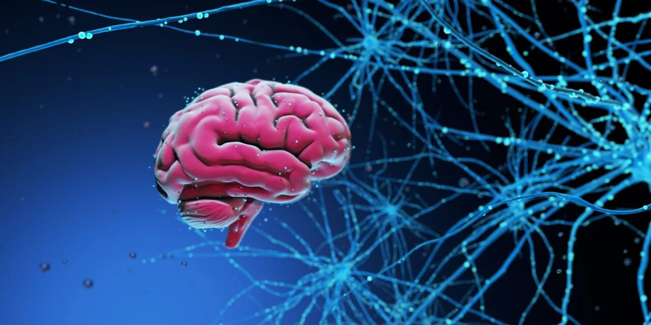 Ultrasonic Blood Test Method Shows High Accuracy for Alzheimer’s Detection