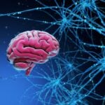 Ultrasonic Blood Test Method Shows High Accuracy for Alzheimer’s Detection