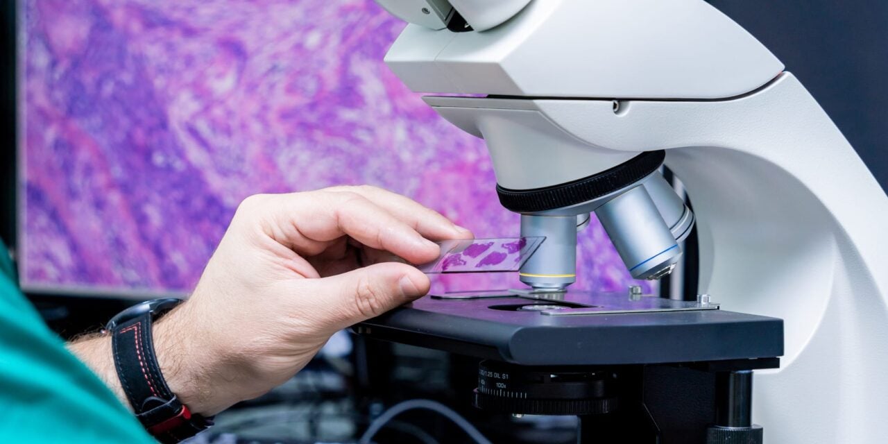 Building a Better Picture of Cancer