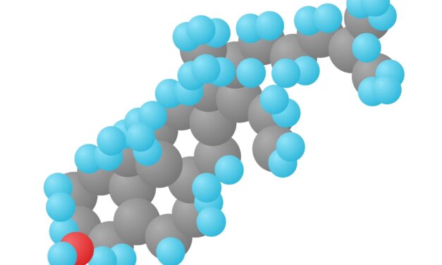 New Open-Source Tool Unifies Lipid Data Across Multiple Databases