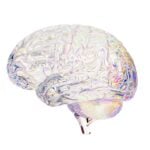 CND Life Sciences Secures Growth Financing for Neurodiagnostics Platform