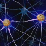 FDA Clears First Single-Biomarker Alzheimer Blood Test for Rule-In and Rule-Out Assessment