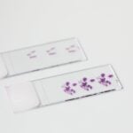10x Genomics and Lausanne University Hospital Collaborate on Cancer Diagnostic Research