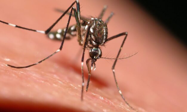 Co-Diagnostics Deploys Vector Smart PCR Labs in Florida and Indiana Amid 73 Local Dengue Cases