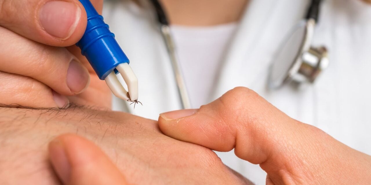 Study Finds 29.5% of Suspected Lyme Disease Patients Co-Positive for Other Tick-Borne Pathogens
