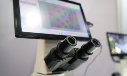 AI Analysis of H&E Slides Reveals Genomic and Immune Patterns in Lung Cancer