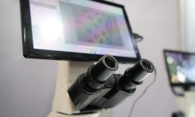 AI Analysis of H&E Slides Reveals Genomic and Immune Patterns in Lung Cancer