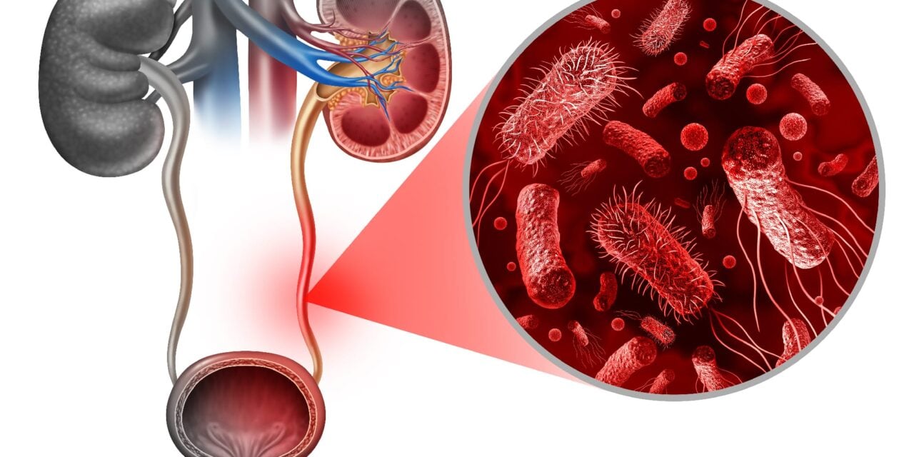 Rapid PCR Test for UTIs Enters Clinical Use in UK