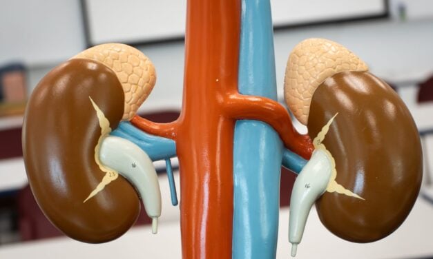 Broader Screening Criteria Double Positive Results for Primary Aldosteronism, Study Finds