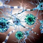 Renew Biotechnologies, Mayo Clinic Partner to Evaluate cfDNA Biomarker in Multiple Sclerosis