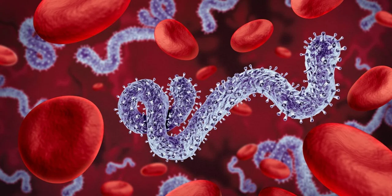 WHO Grants Emergency Use Listing for Rapid Test Detecting Ebola and 15 Other Pathogens