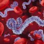 WHO Grants Emergency Use Listing for Rapid Test Detecting Ebola and 15 Other Pathogens