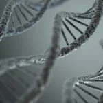 Ambry Genetics Launches Whole Genome Sequencing Test Solution for Rare Diseases