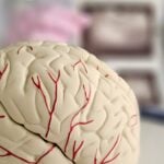 China Clears Quanterix and Innovita SIMOA Instruments and Blood-Based Neurology Tests