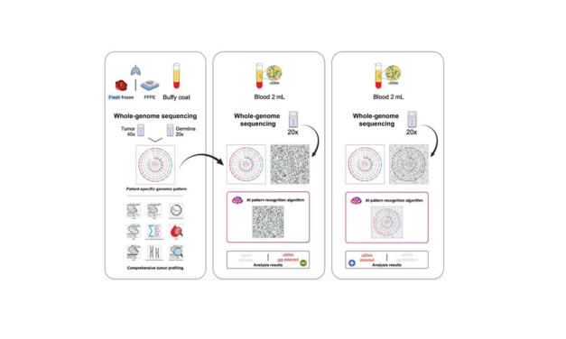 Liquid Biopsy Detects Early Lung Cancer Recurrence Months Before Imaging