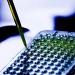 Researchers Develop Rapid Test for 15 Types of Mycobacteria