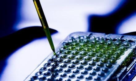Researchers Develop Rapid Test for 15 Types of Mycobacteria