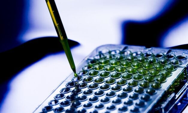 Researchers Develop Rapid Test for 15 Types of Mycobacteria