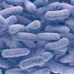 Delve Bio Launches Blood Test That Can Detect More Than 68,000 Pathogens
